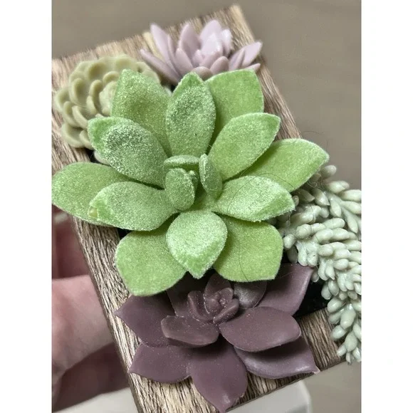 Bath & Body Works Succulent Frame, Green Jar & Squirrel Wallflower Plug-In Lot 3 - Picture 8 of 11